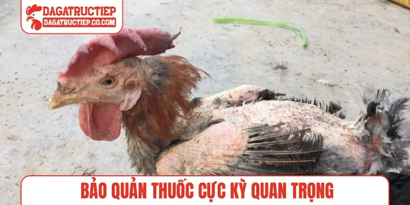 Bảo quản thuốc cực kỳ quan trọng