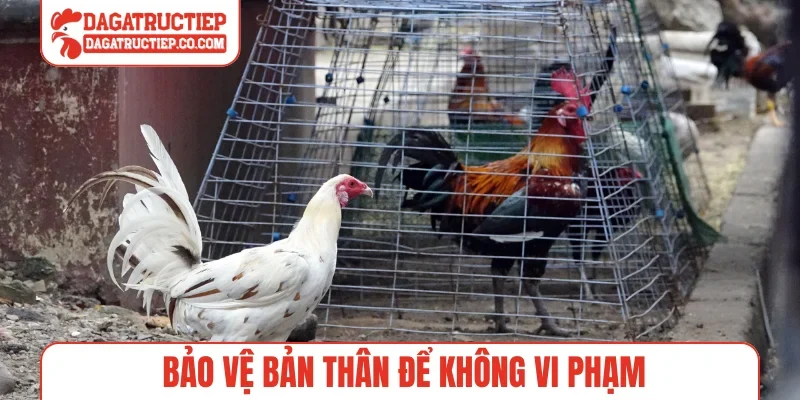 Bảo vệ bản thân để không vi phạm