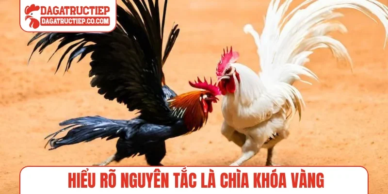 Hiểu rõ nguyên tắc là chìa khóa vàng