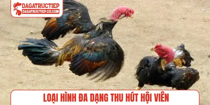 Loại hình đa dạng thu hút hội viên