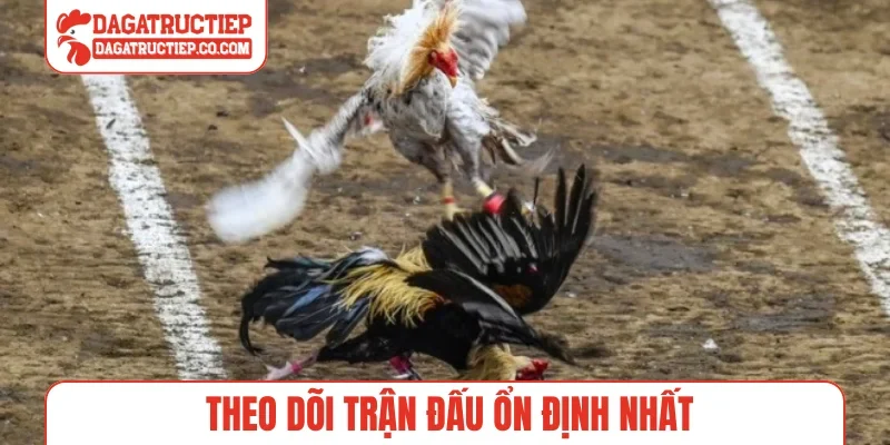 Theo dõi trận đấu ổn định nhất