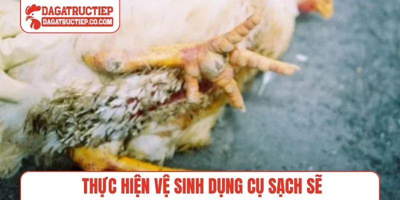 Thực hiện vệ sinh dụng cụ sạch sẽ