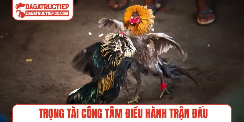 Trọng tài công tâm điều hành trận đấu