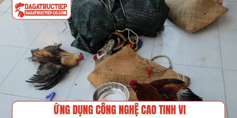 Ứng dụng công nghệ cao tinh vi