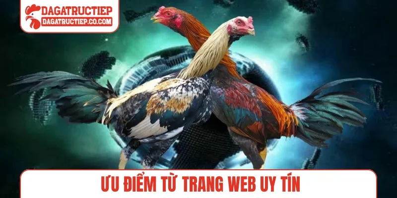 Ưu điểm từ trang web uy tín